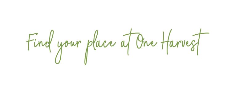 Find your place at One Harvest - family-owned fresh produce manufacturer employer