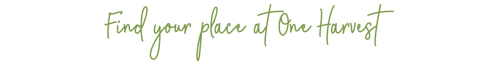 Find your place at One Harvest - family-owned fresh produce manufacturer employer