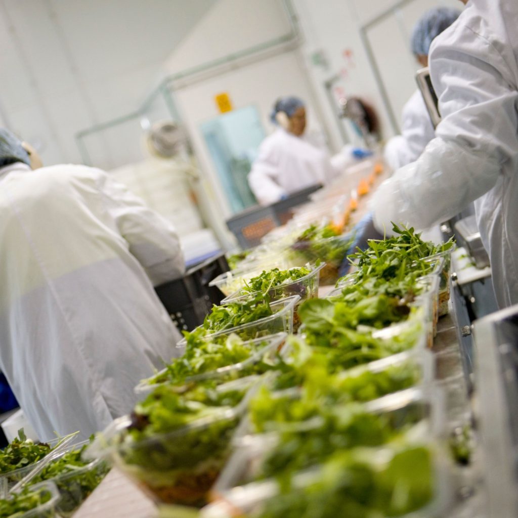 One Harvest team members working in temperature-controlled fresh produce facility.