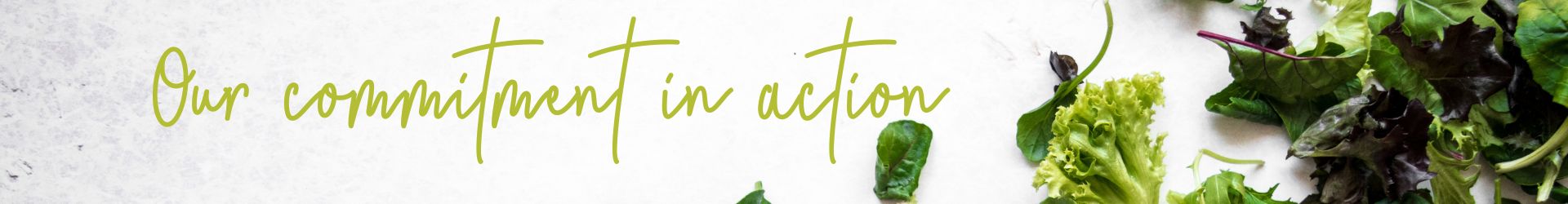 One Harvest sustainability approach balances long-term business success with positive outcomes for people, planet, and communities.