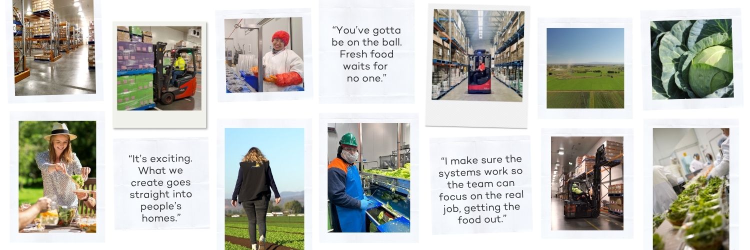 Find your place at One Harvest - family-owned fresh produce manufacturer employer